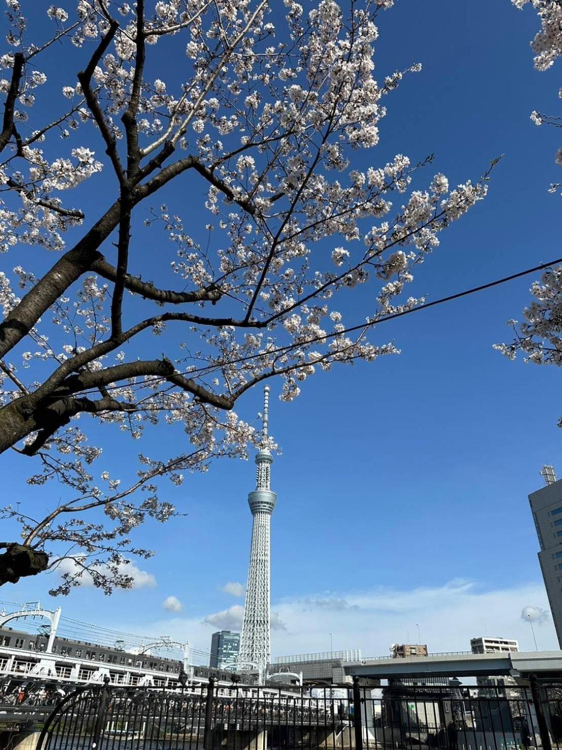 東京雷門ー千の森asakusa Tokio Buitenkant foto